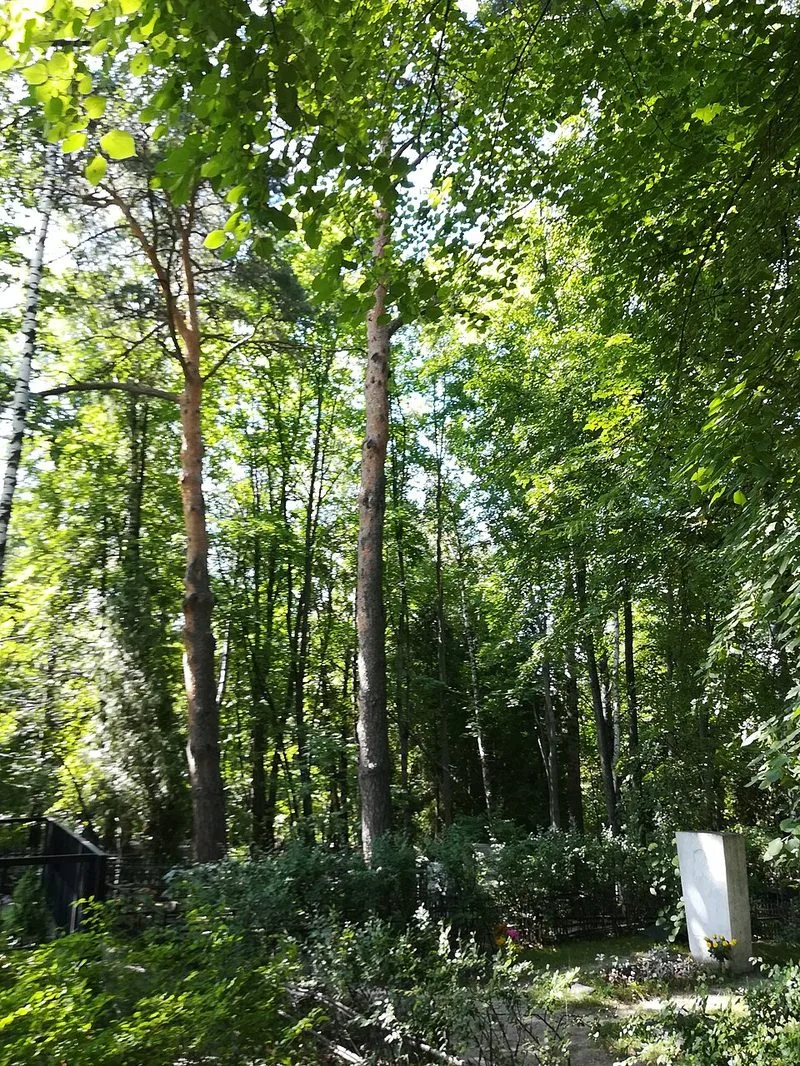 Tombe de Boris Pasternak au cimeti&egrave;re de Peredelkino